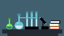 Investiga y Descubre